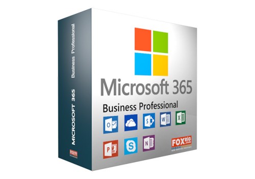 Microsoft 365 Business Professional