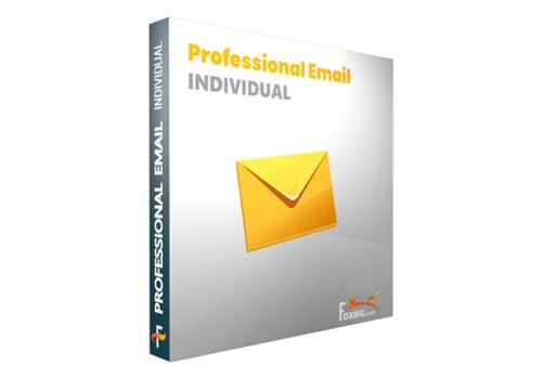 Professional Email Individual