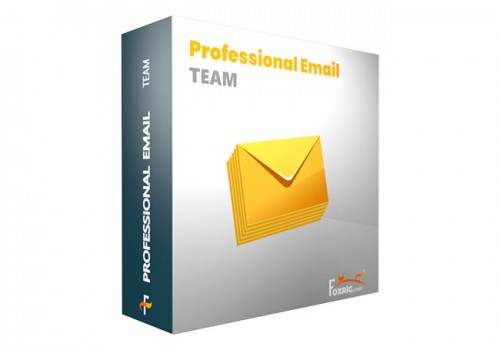 Professional Email Team