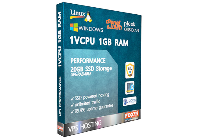 VPS 1vCPU 1GB RAM