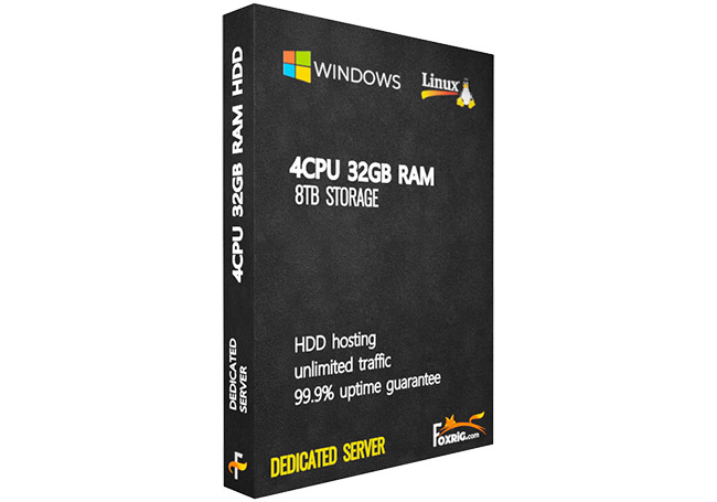 Dedicated Server(HDD) 4CPU 32GB RAM
