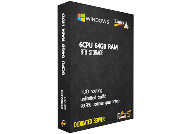 Dedicated Server(HDD) 6CPU 64GB RAM