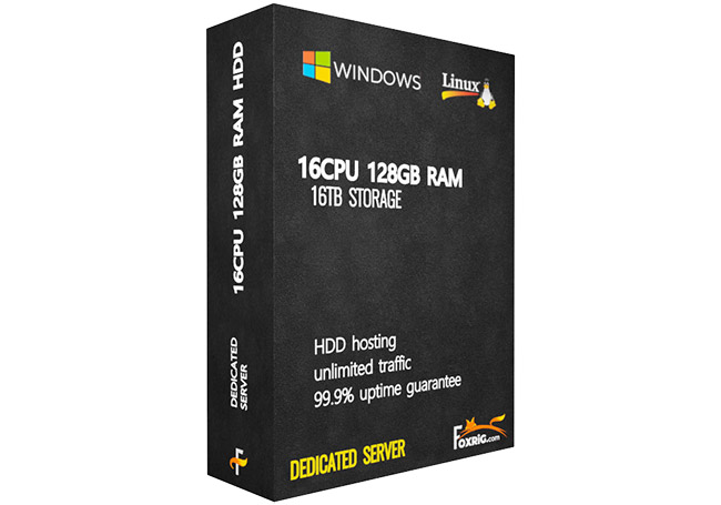 Dedicated Server(HDD) 16CPU 128GB RAM