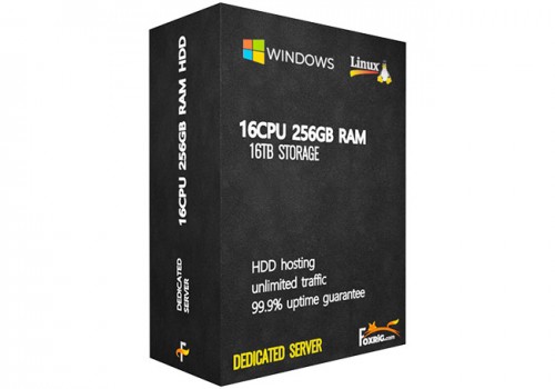 Dedicated Server(HDD) 16CPU 256GB RAM