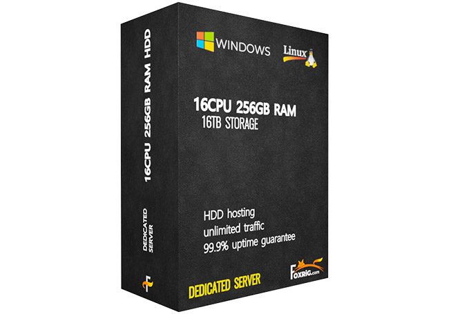 Dedicated Server(HDD) 16CPU 256GB RAM Linux