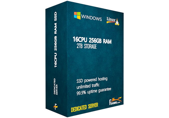 Dedicated Server(SSD) 16CPU 256GB RAM Linux