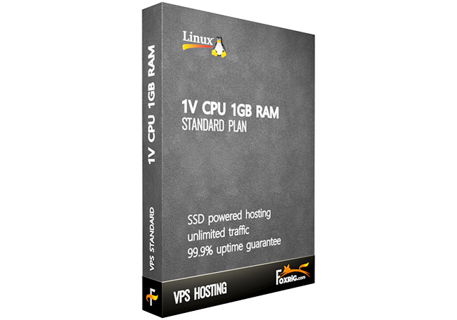 VPS 1vCPU 1GB RAM