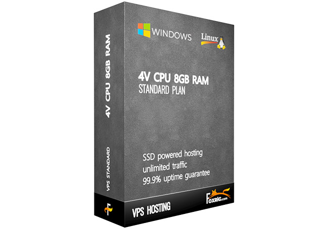VPS 4vCPU 8GB RAM Linux