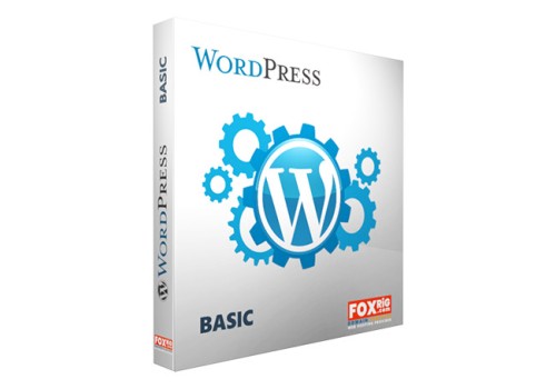 WordPress Basic